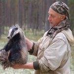 Badger in arms