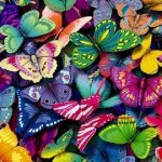 colored butterflies