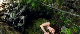 girl lying in the forest photo