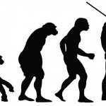 Эволюция