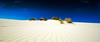 Why do you dream about white sand?