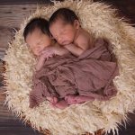 К чему снится двойня - сонник, толкование сна про беременность и роды двойни