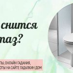Why do you dream about a toilet?