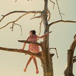 Why do you dream of climbing a tree?