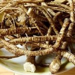 Why do you dream about the roots of medicinal herbs?