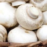 Why do you dream about champignons?