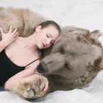 Bear according to dream books