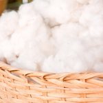 dream about cotton wool