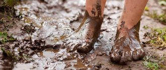 dream book feet in mud
