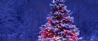 Bright Christmas tree